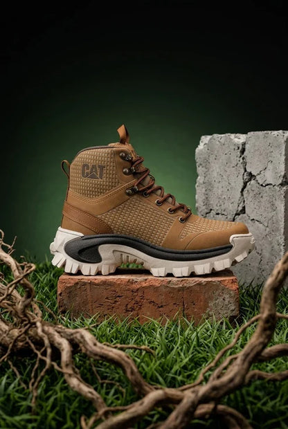 BOTA CAT EXPLORER CAB